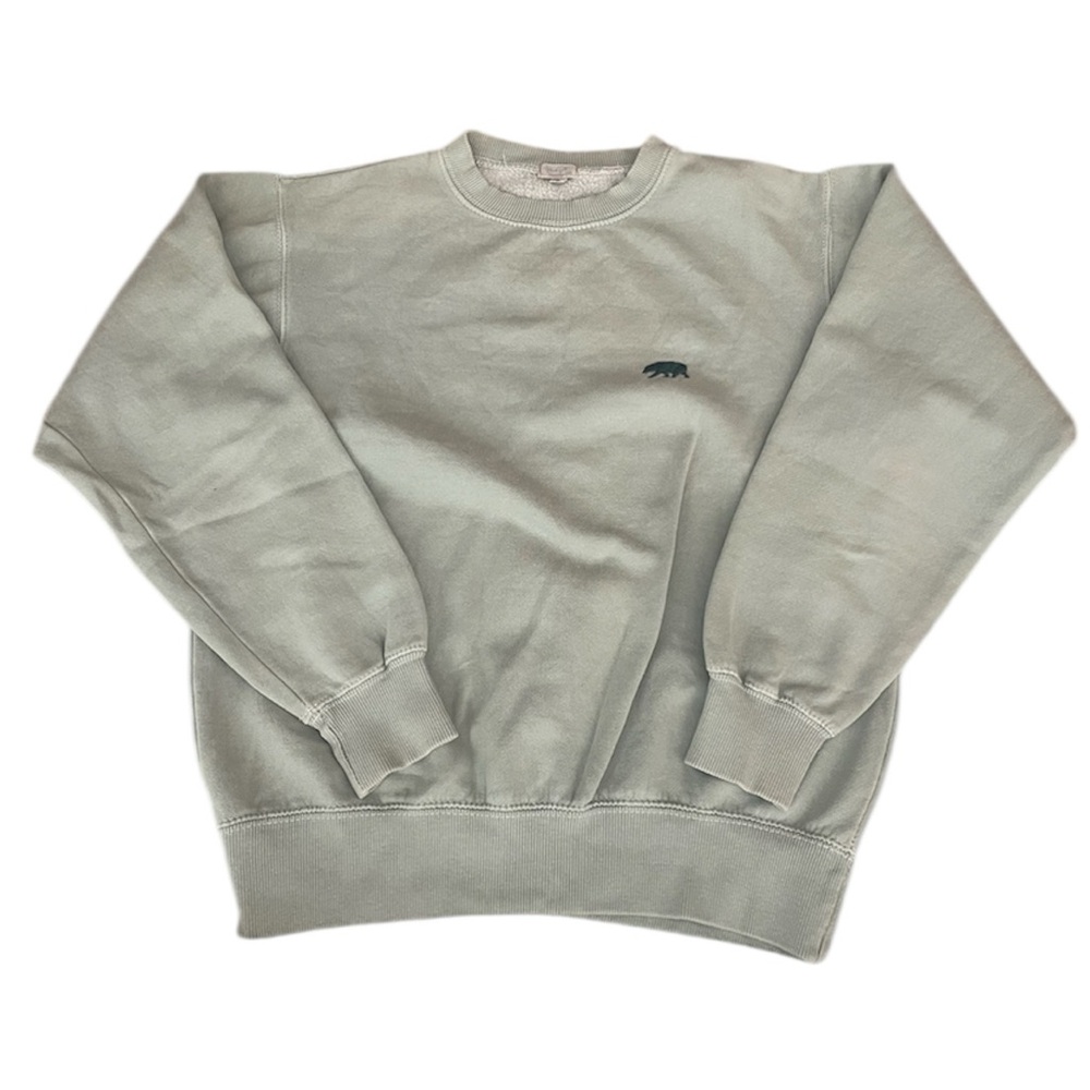 Brandy Melville pastel green Erica bear sweatshirt